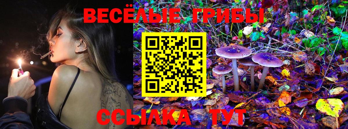 Галлюциногенные грибы мухоморы  Галлюциногенные грибы Psilocybine cubensis  Тара  магазин продажи   Вход с VPN 